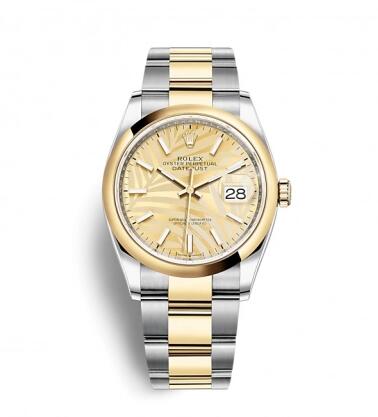 Rolex Datejust 36 Stainless Steel / Yellow Gold / Smooth / Golden Palm / Oyster Replica Watch 126203-0038