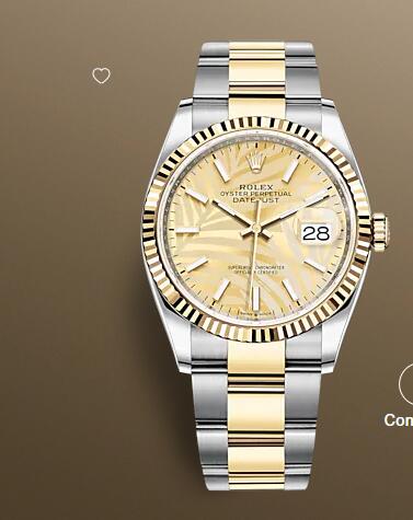 Rolex Datejust 36 Stainless Steel Yellow Gold Fluted Champagne – Palm Oyster Fake Watch 126233-0038