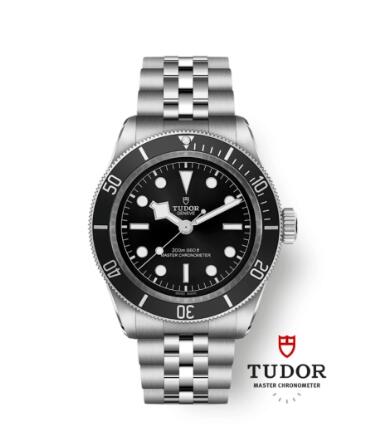 Replica Tudor Black Bay Master Chronometer Stainless Steel Watch 7941A1A0NU-0003