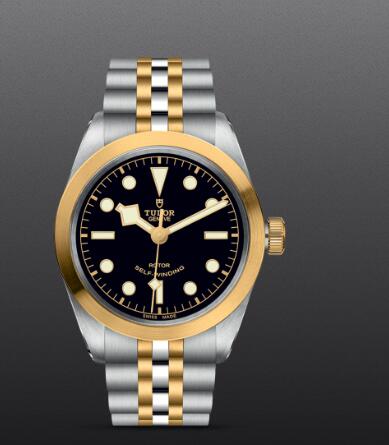Replica Watch New TUDOR Black Bay 36 S&G Swiss Dive Watch M79503-0001 Yellow gold bezel Steel and yellow gold bracelet