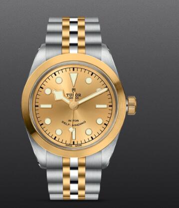 Replica Watch New TUDOR Black Bay 36 S&G Swiss Dive Watch M79503-0002 Yellow gold bezel Steel and yellow gold bracelet Replica Watch New TUDOR Black Bay 36 S&G Swiss Dive Watch M79503-0002 Yellow gold bezel Steel and yellow gold bracelet