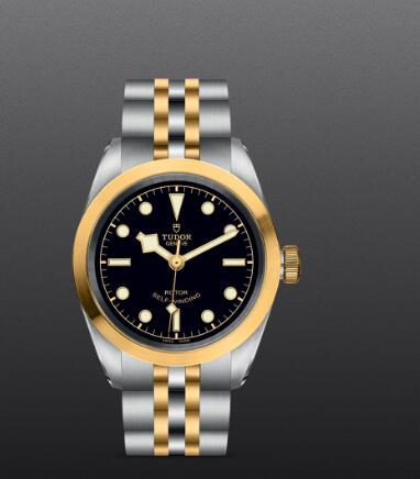 Replica Watch New TUDOR Black Bay 32 S&G Swiss Dive Watch M79583-0001 Yellow gold bezel Steel and yellow gold bracelet Replica Watch New TUDOR Black Bay 32 S&G Swiss Dive Watch M79583-0001 Yellow gold bezel Steel and yellow gold bracelet