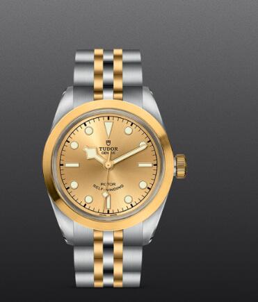 Replica Watch New TUDOR Black Bay 32 S&G Swiss Dive Watch M79583-0002 Yellow gold bezel Steel and yellow gold bracelet