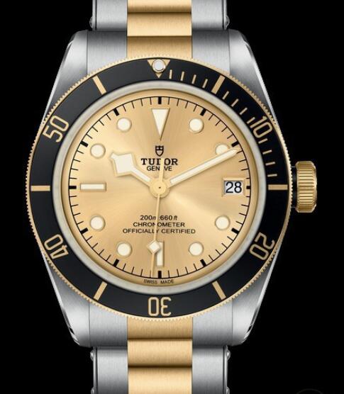 Replica Tudor Watch BLACK BAY S&G M79733N-0004 Steel - Champagne Dial - Yellow Gold Bracelet