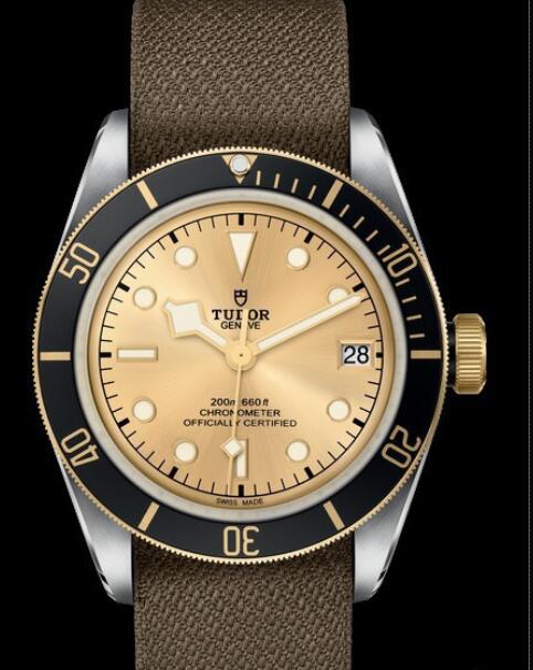 Replica Tudor Watch BLACK BAY S&G M79733N-0006 Steel - Champagne Dial - Fabric Strap