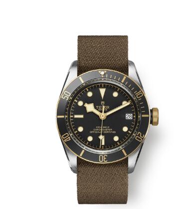 Tudor BLACK BAY S&G m79733n-0005 41 mm steel case Fabric strap replica watch